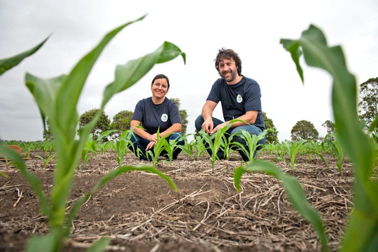 Growers needed for research