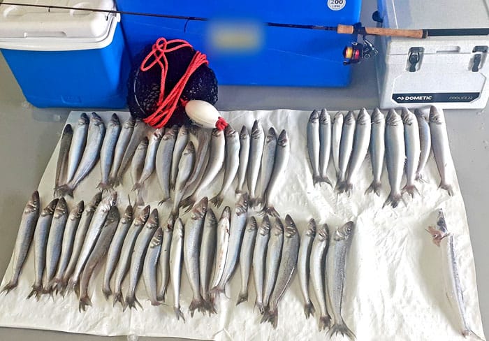 Fishers caught breaking limits