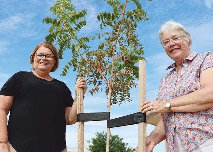 Adopt a Tree for free in 2023