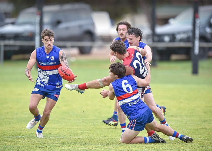 YPFL: Winless Dogs defeated by dominant Dees