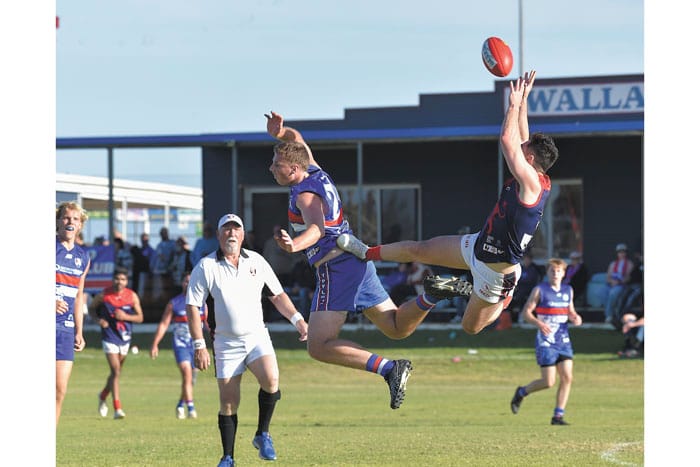 YPFL: Disappointing Dogs done by Dees