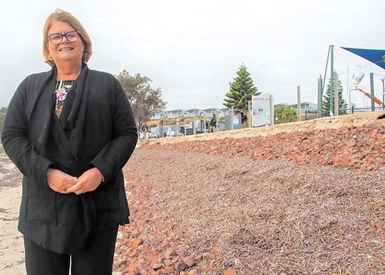 Seawall to mitigate foreshore damage