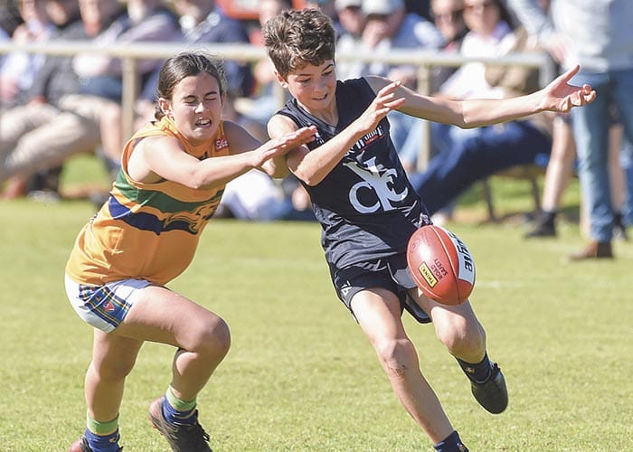 YPFL Jnr Colts: Skilful Cougars cruise past Eagles