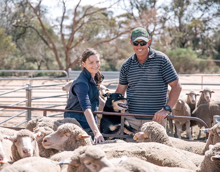 Destocking a harsh reality as drought deepens