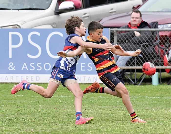 YPFL Junior Colts... Dogs hold firm against Crows to reach decider