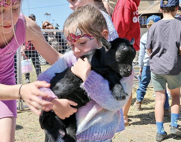 2025 SYP Show set to thrill in Minlaton