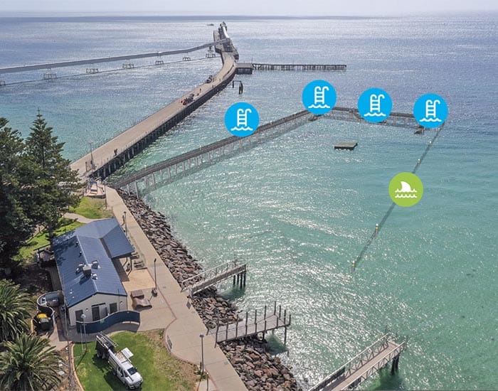 Shark net shortfall