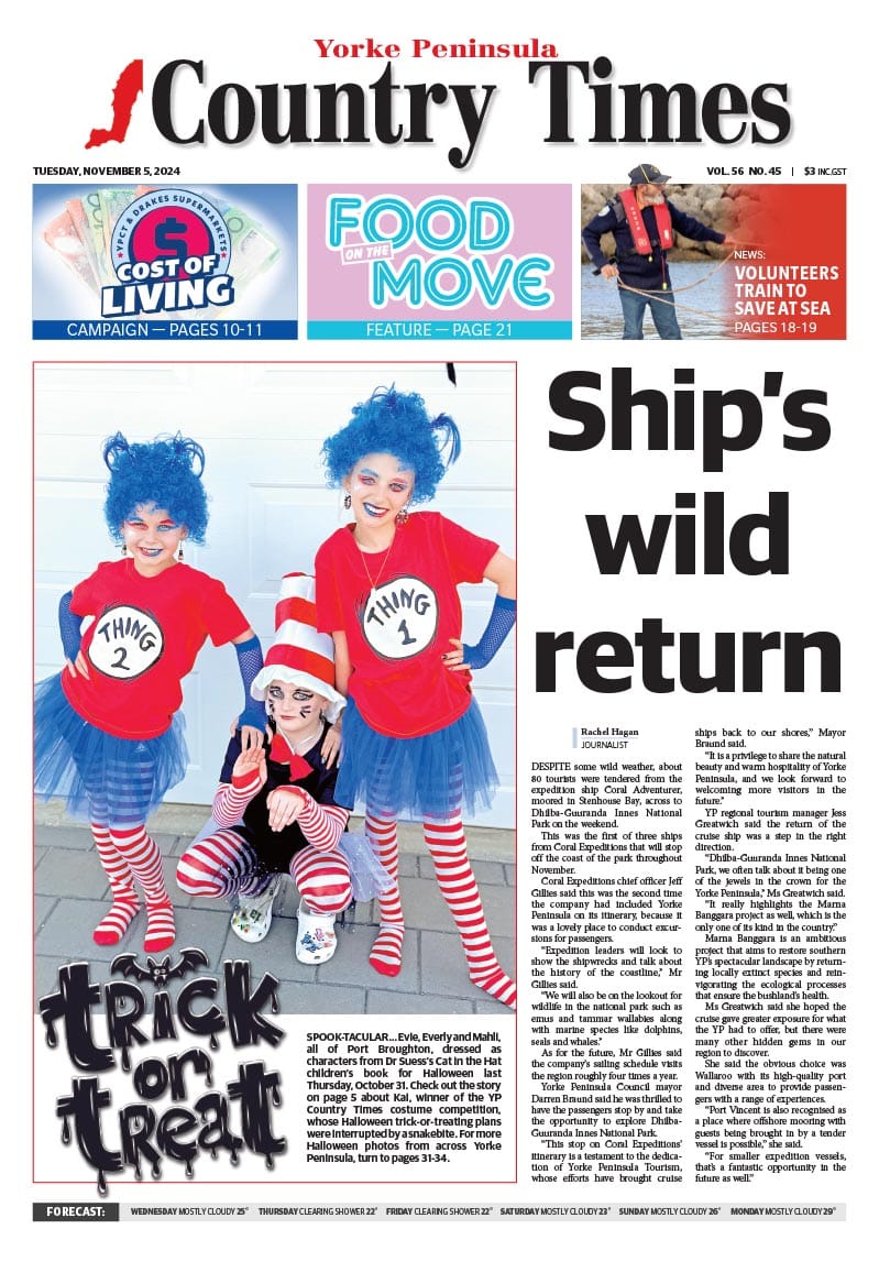 November 5, 2024