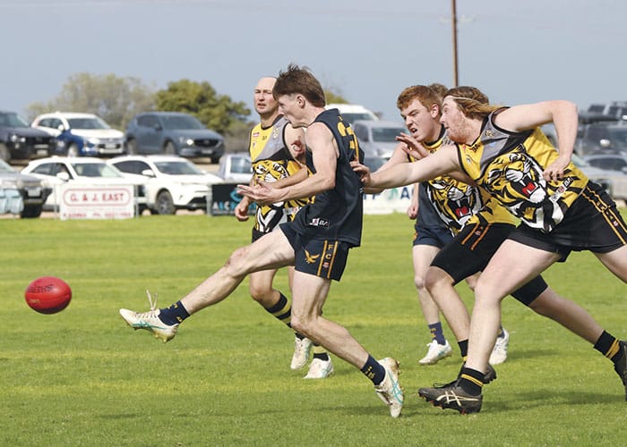 NAFA: Eagles find form before finals