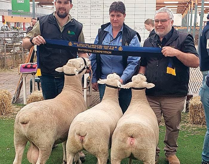 Anna Villa brings home ribbons