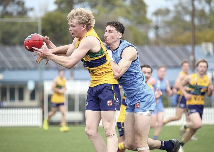 Mumford, Trengove stand out at Eagles junior awards