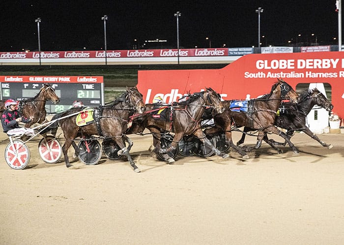 Yorke Peninsula harness racing news