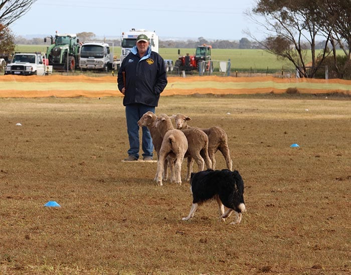 Tie breaker for top dog honours