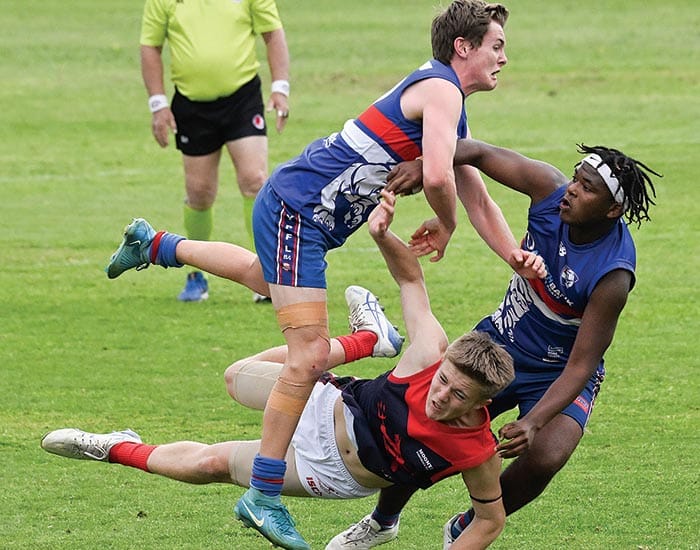YPFL Senior Colts... Dogs eyeing off a four-peat