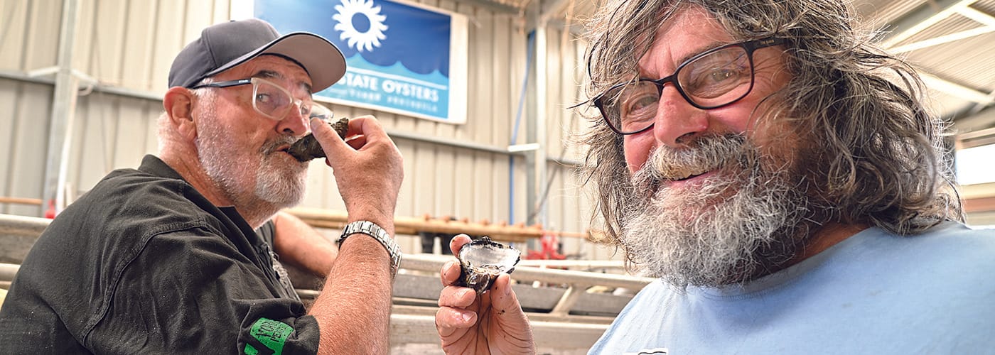Oysters reopen at Stansbury