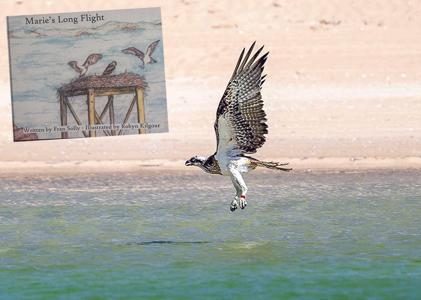 Marie’s story takes flight in children’s book