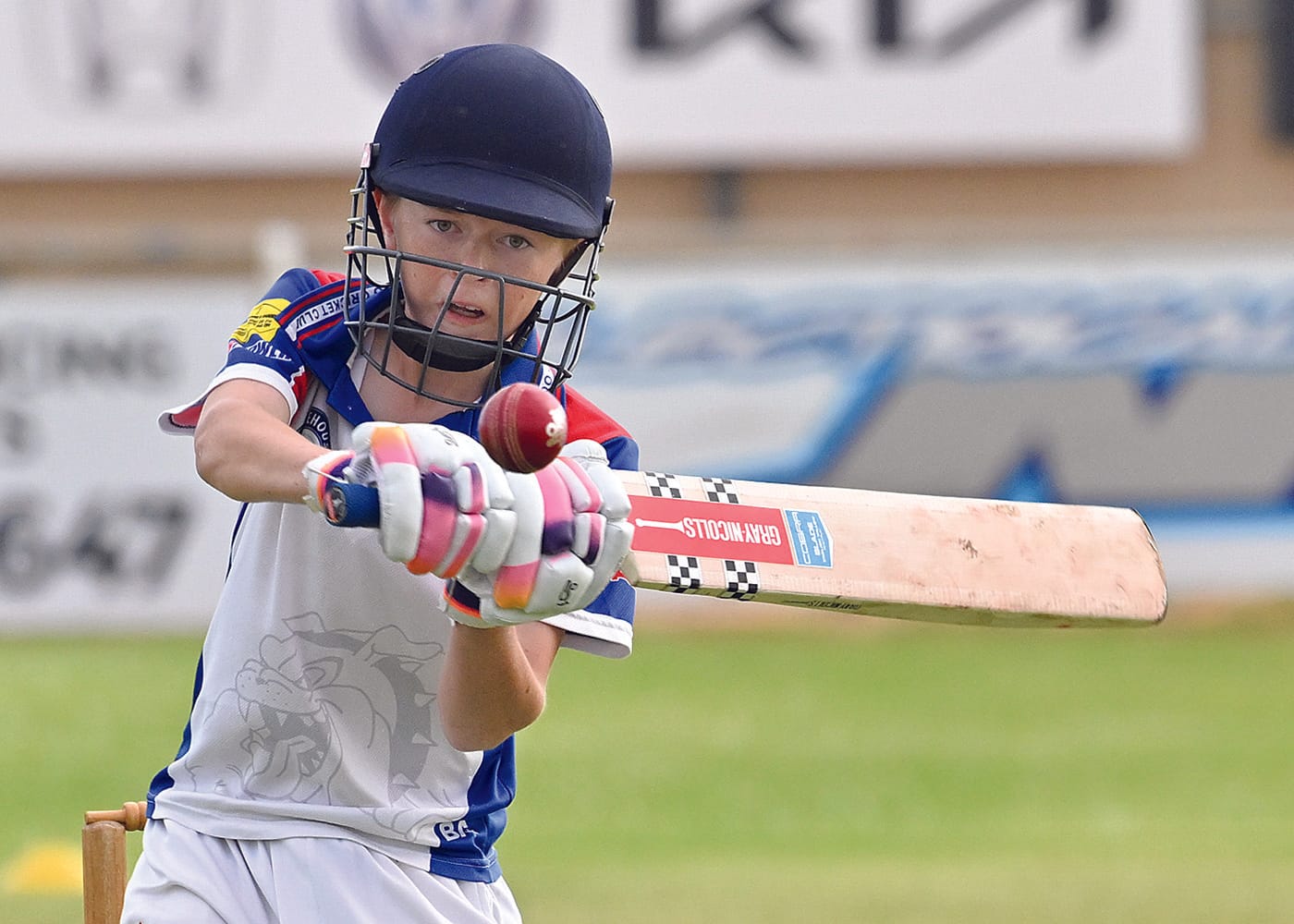 YP cricket roundup: Maiden century the highlight in weekend of big hitting