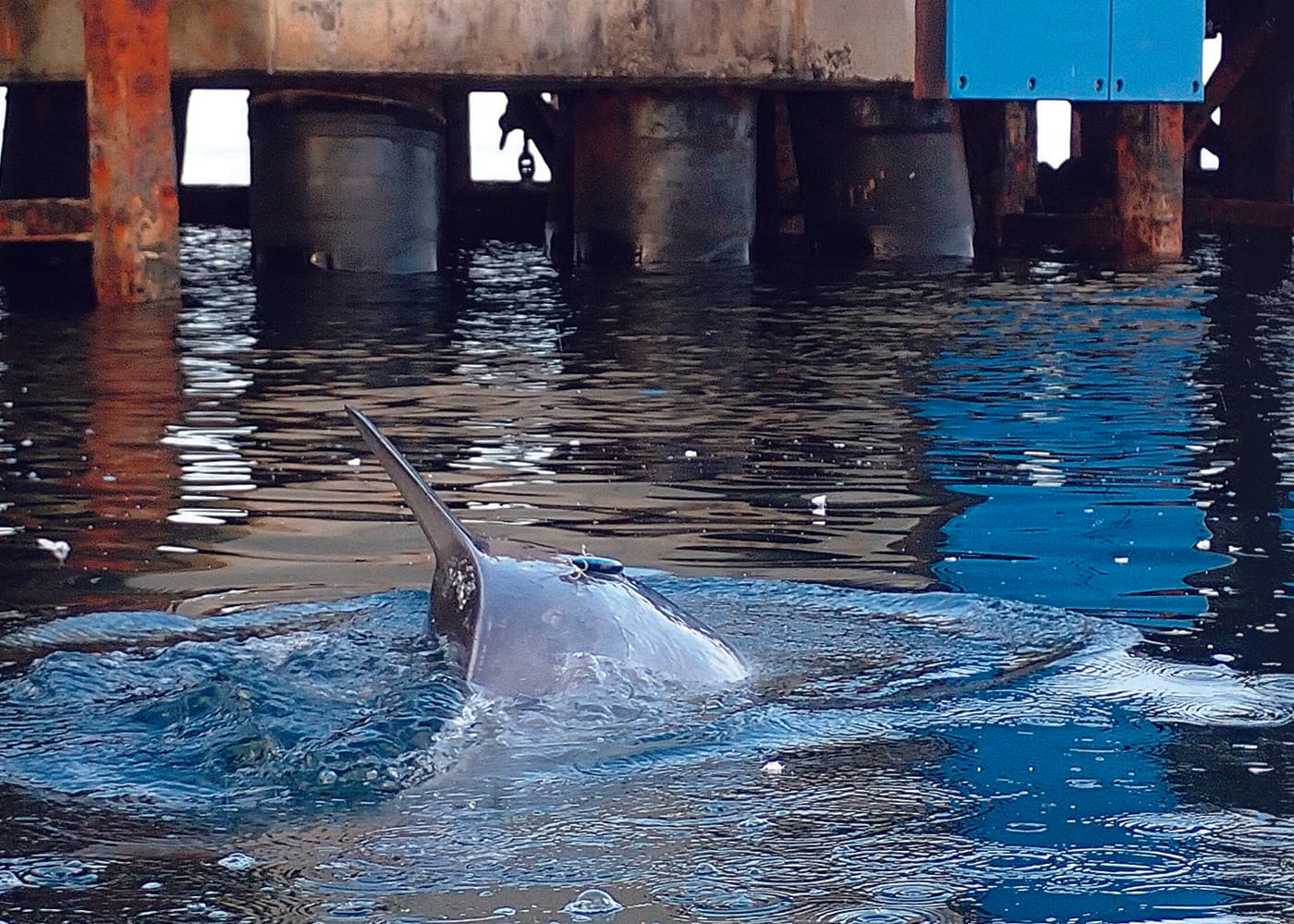 Mother and baby reunited