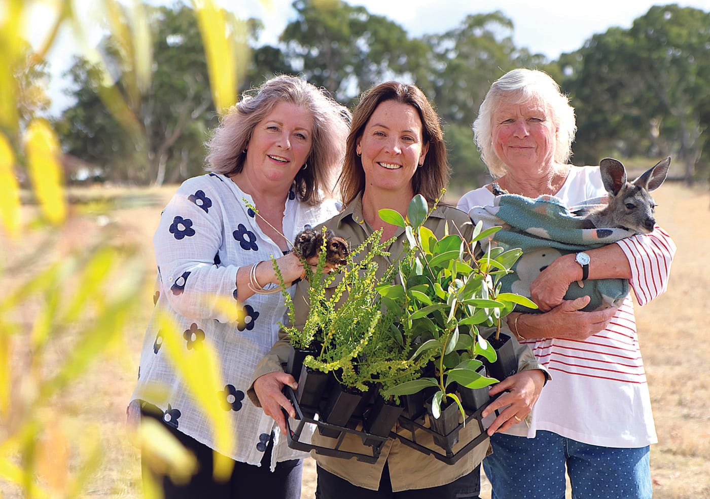 Grassroots Grants open for clever community environmental projects