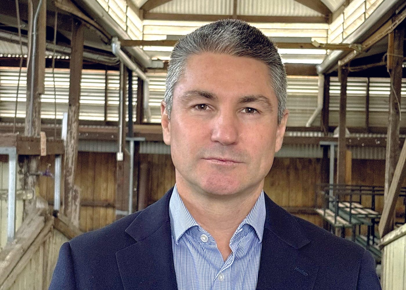 Producers urged to vote on sheep and cattle funds