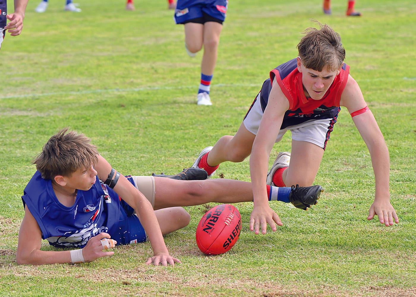 YPFL: Moonta too strong for improving Dogs