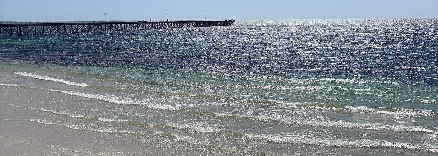 Algal bloom on the move