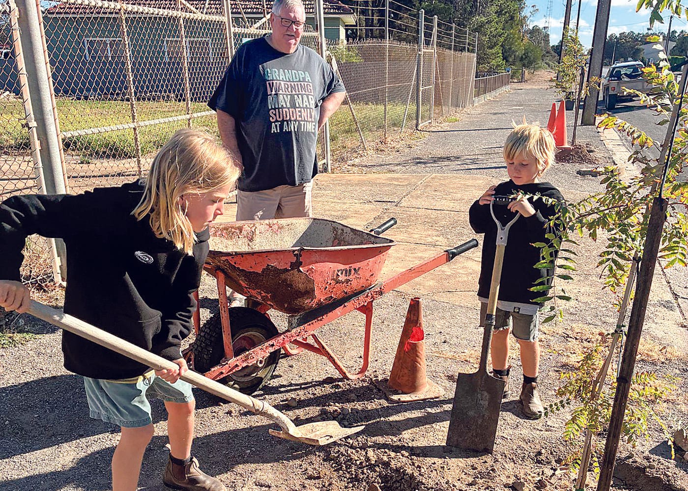 Greening Yorketown: community-driven street tree project takes root