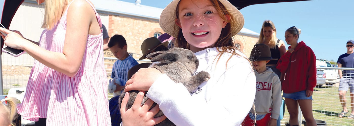 SYP Show pauses to plan future