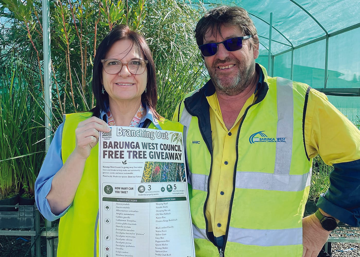 Free native tree giveaway returns