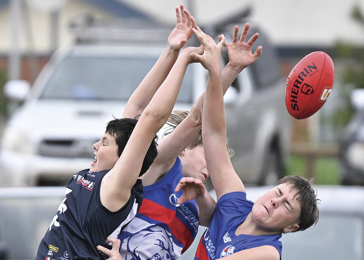 YPFL: Cougars win at home