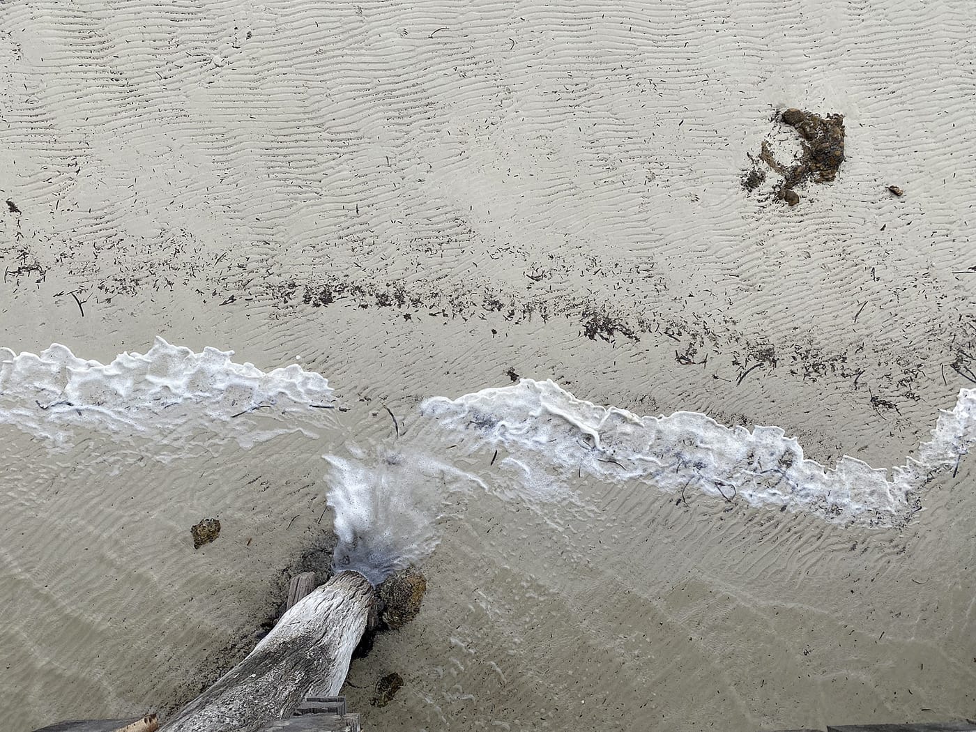 Researchers urge stronger algal bloom preparedness