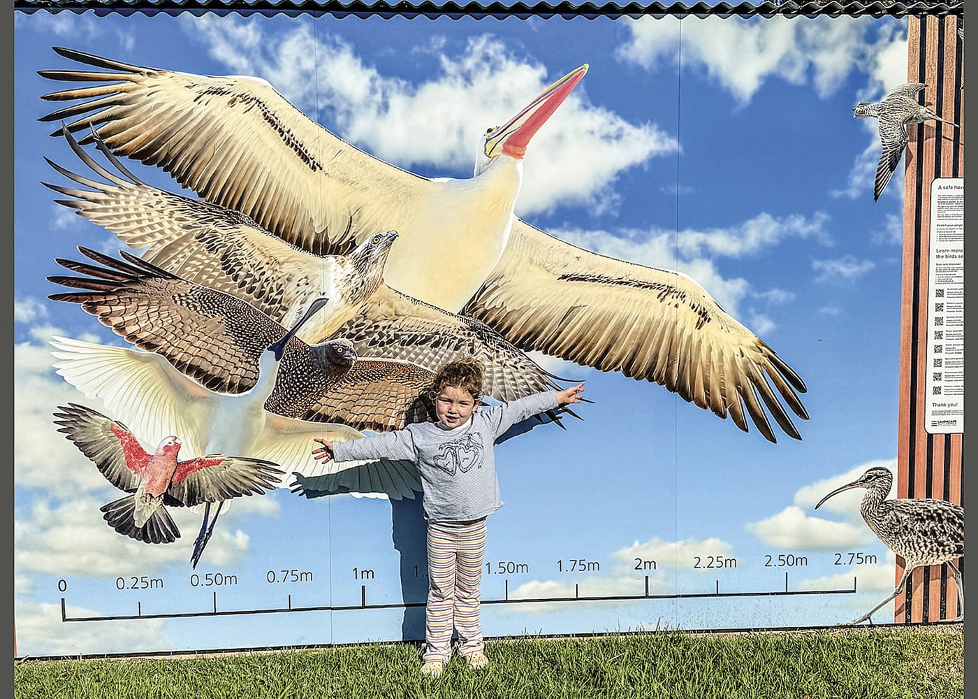 Take flight with local birds in Price