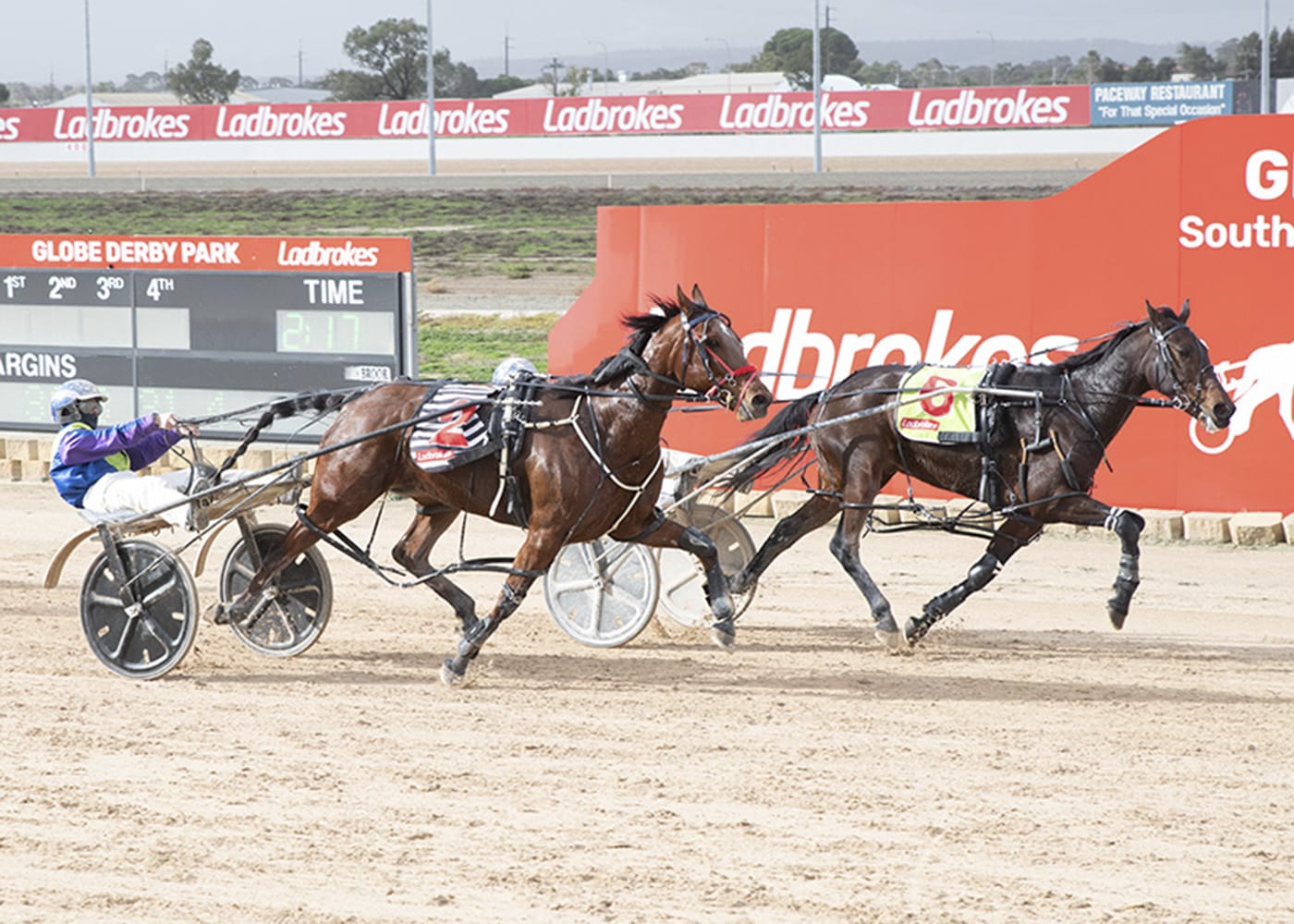YP Harness Racing Club news