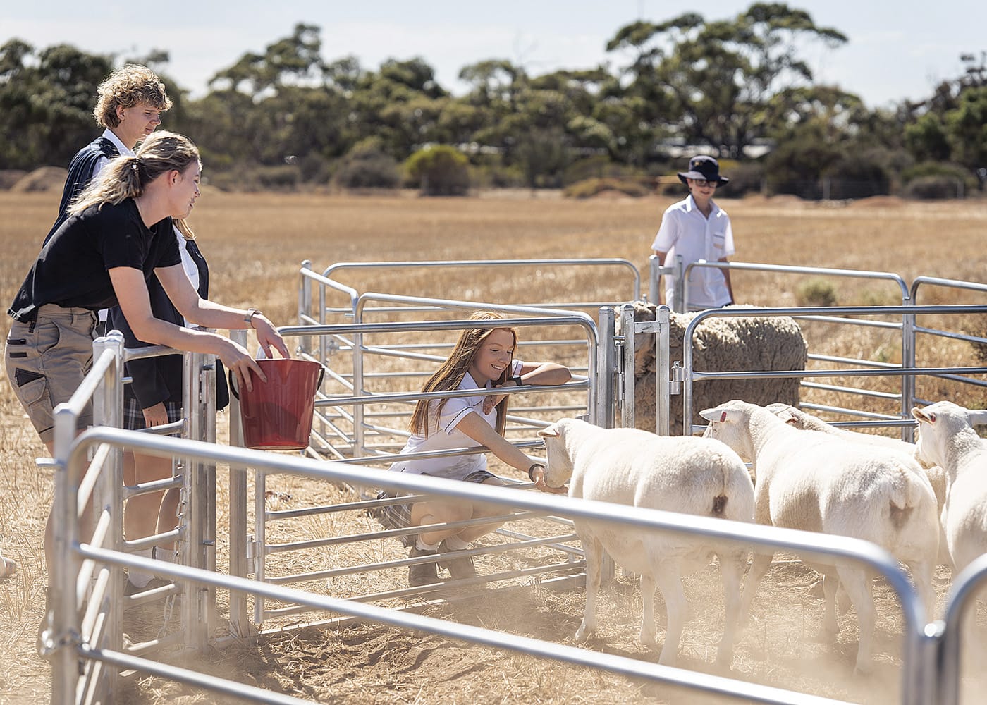 Harvest cultivating the future with new ag centre