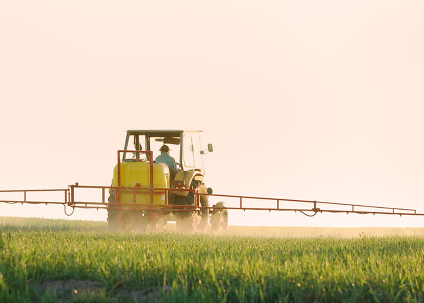 Grain report flags growth and risks