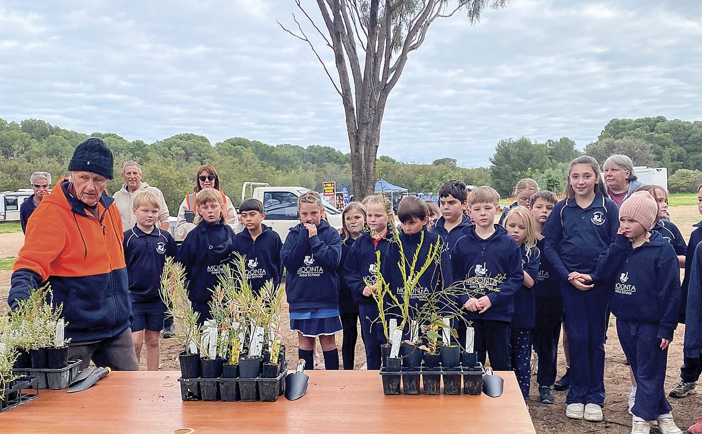 Planting for the future