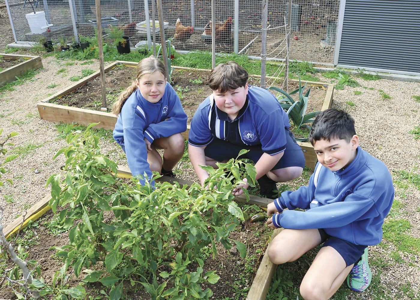 Students get growing for healthy choices