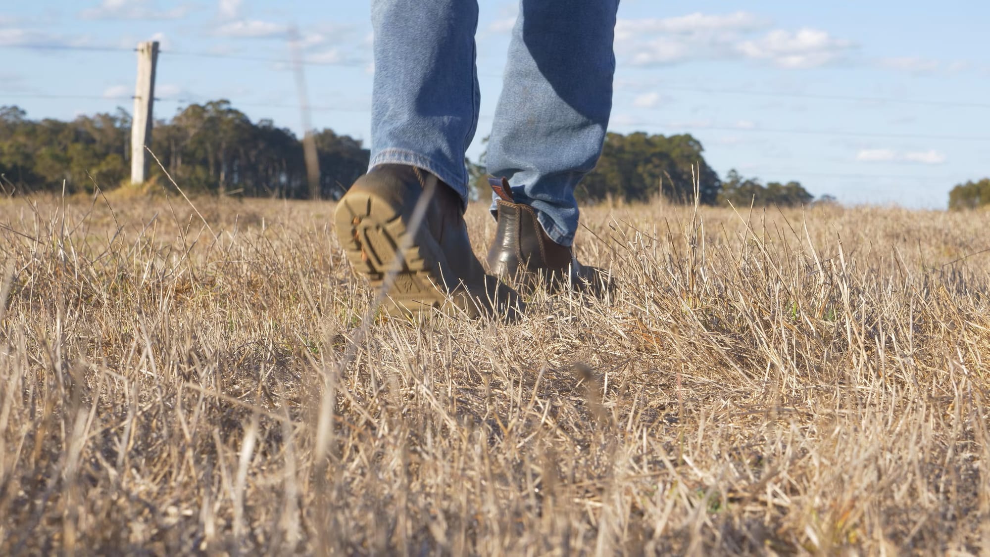 Spring outlook shows bushfire risk increases as El Niño loads the dice