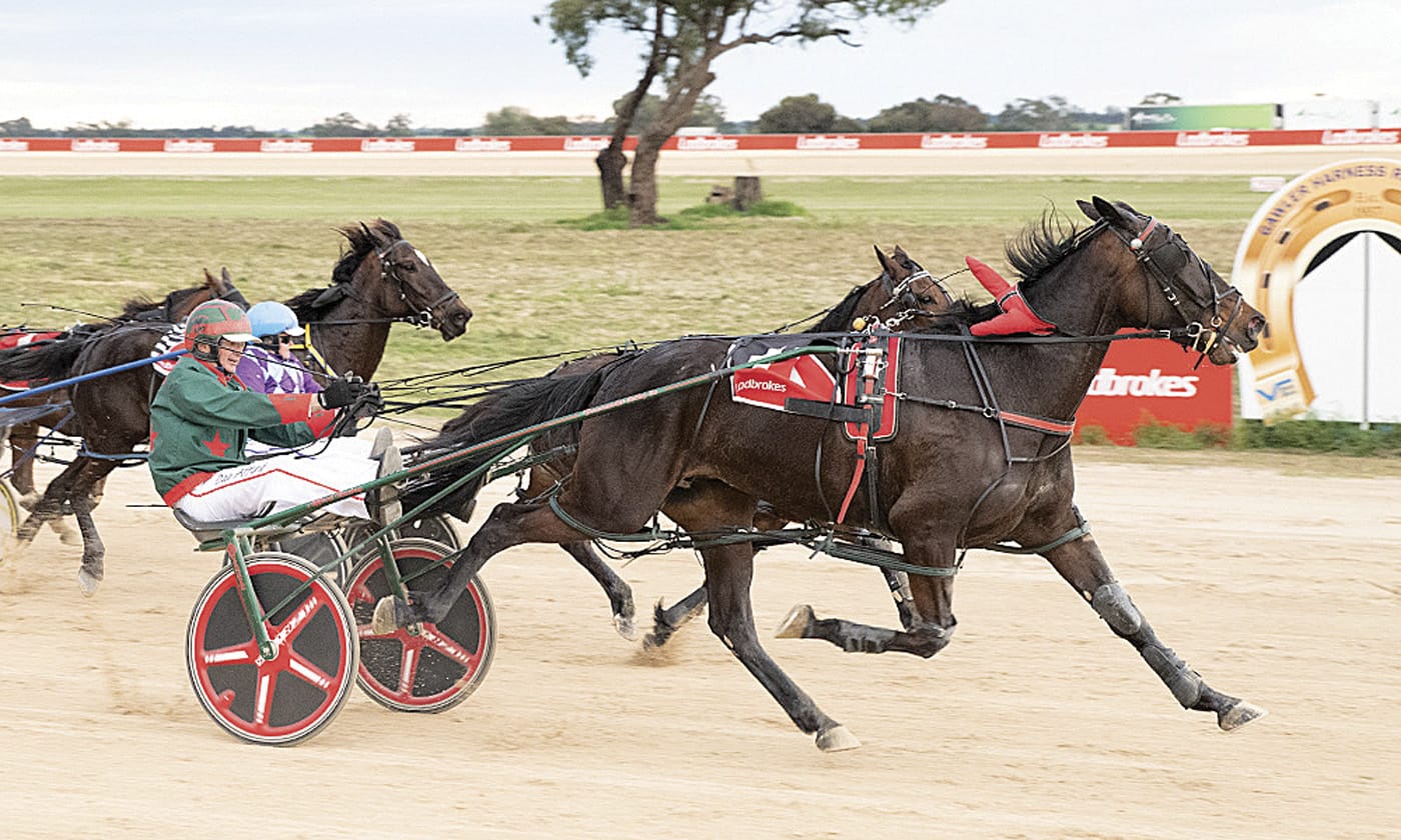 YP Harness Racing Club news