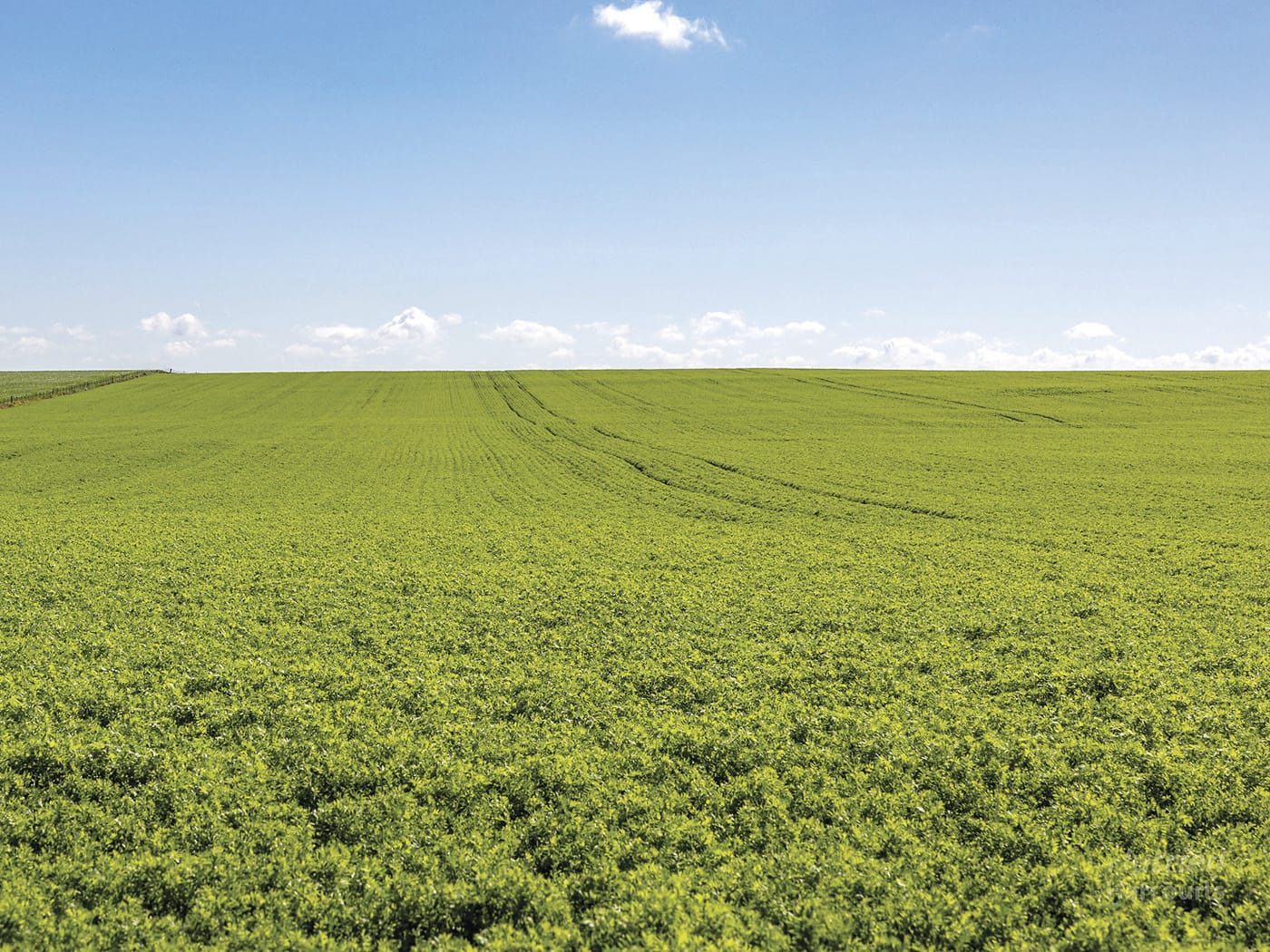 Outstanding opportunity to secure a parcel of quality cropping land