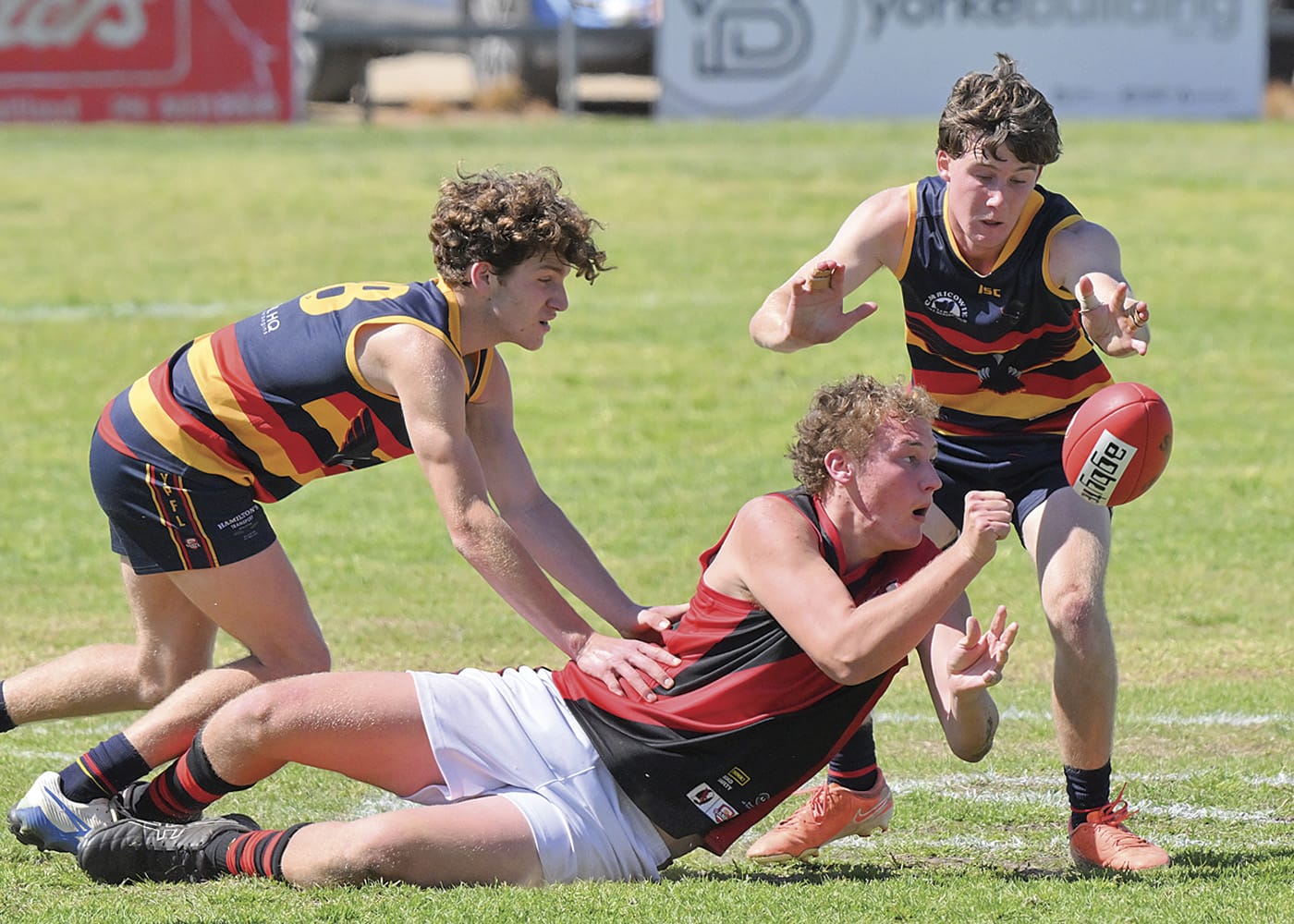 YPFL senior colts: Bloods overcome Crows to reach decider