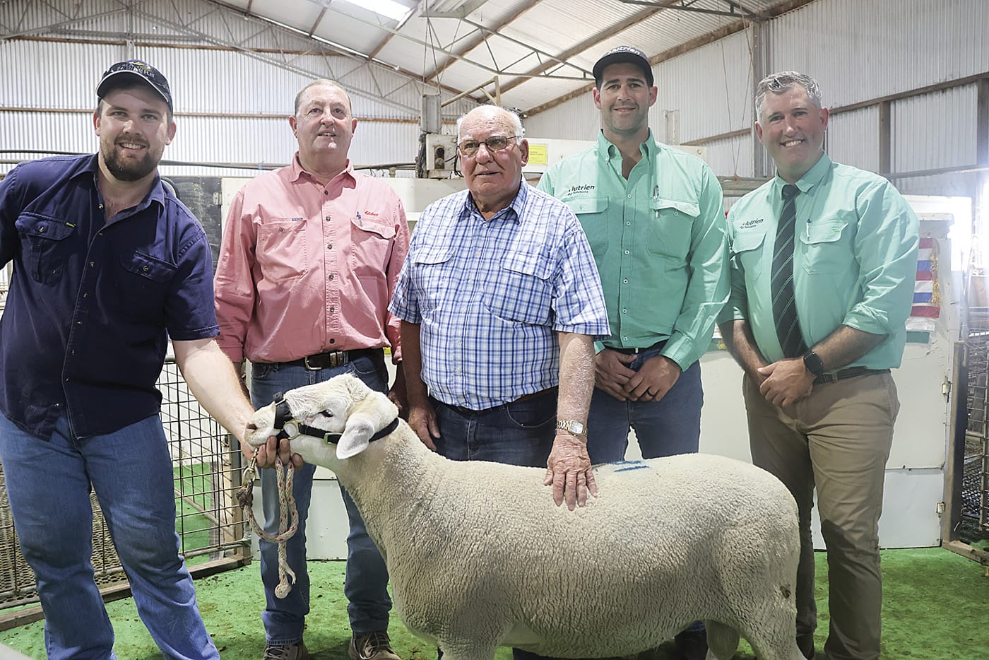 Anna Villa rams surge to $4000