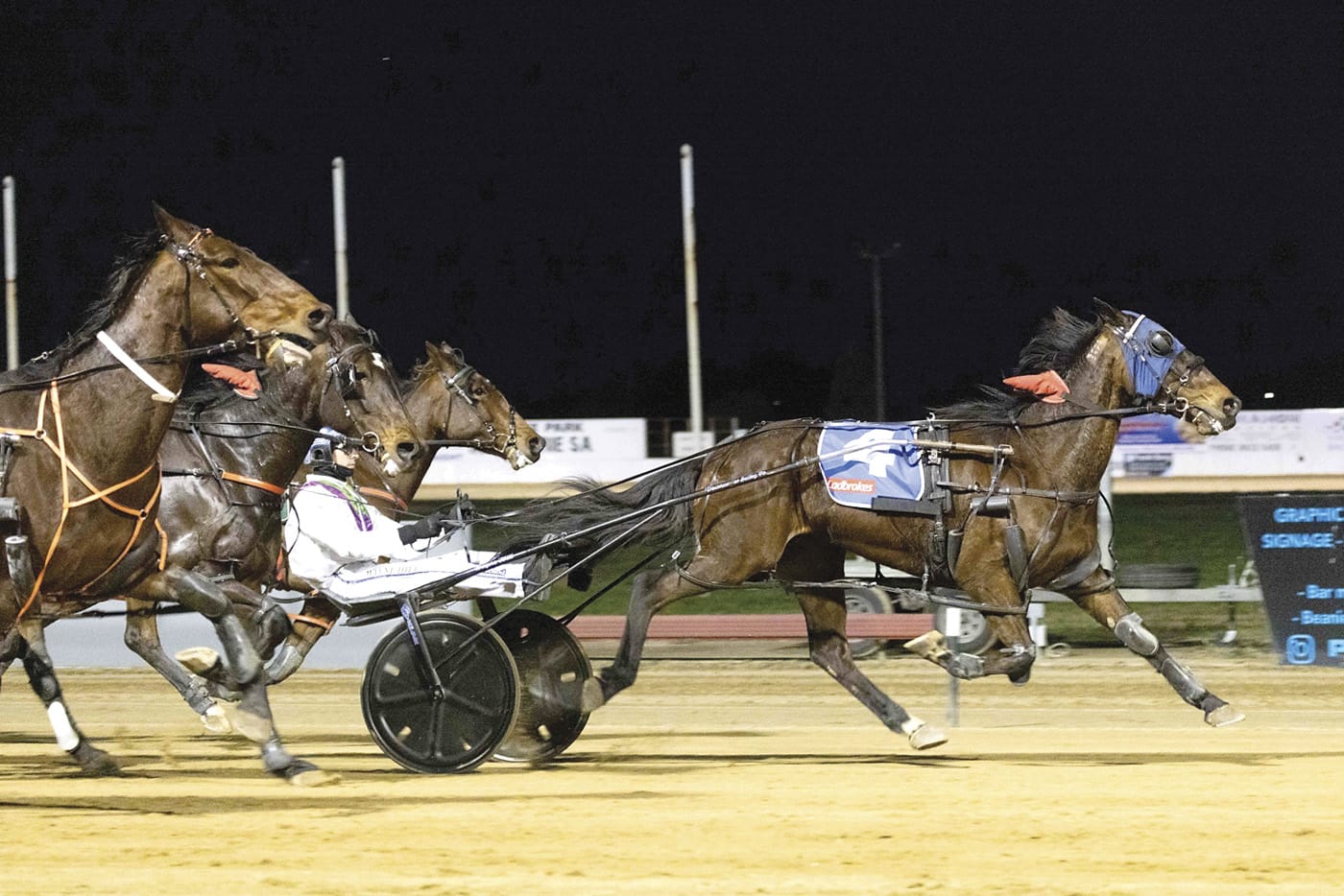 YP Harness Racing news