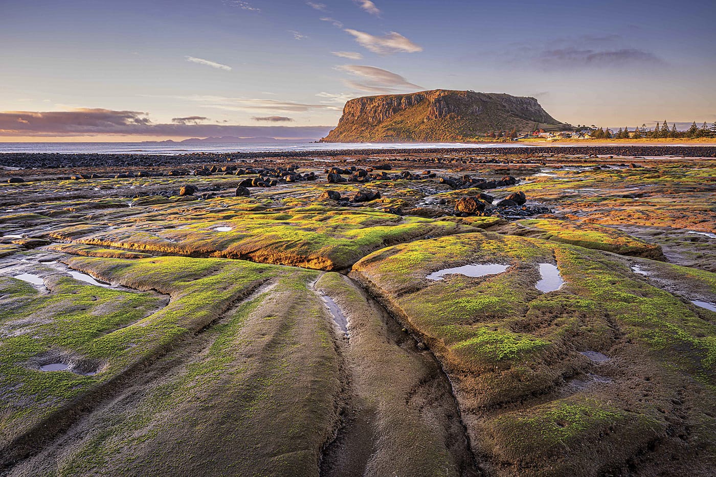 Local photography talent shines at SAPF Awards