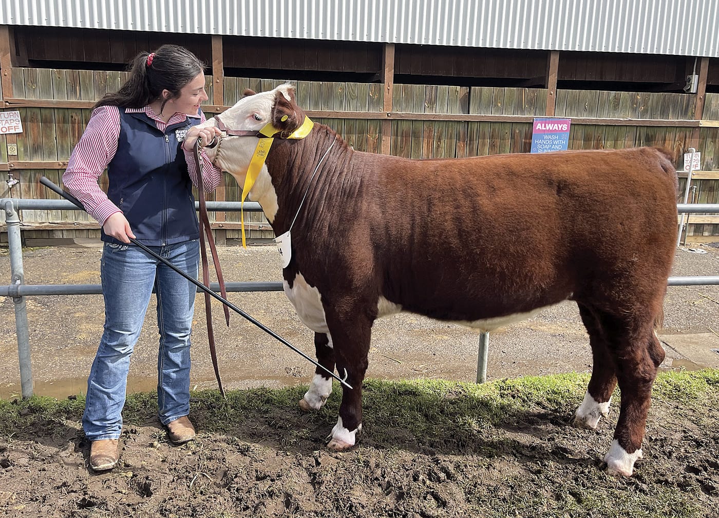 Ag student success at Royal Adelaide Show