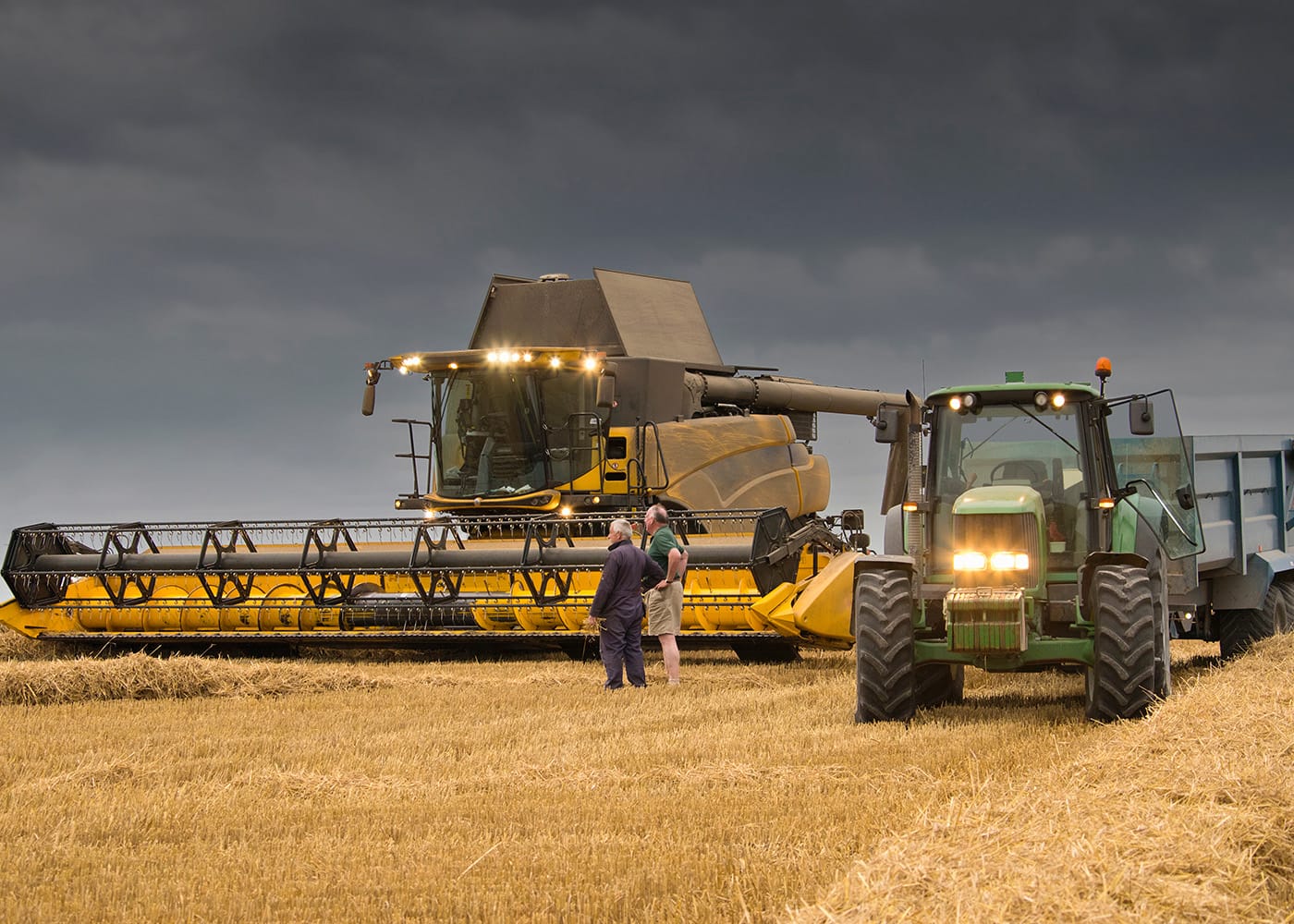 Optimism grows for grain as yield estimates rise