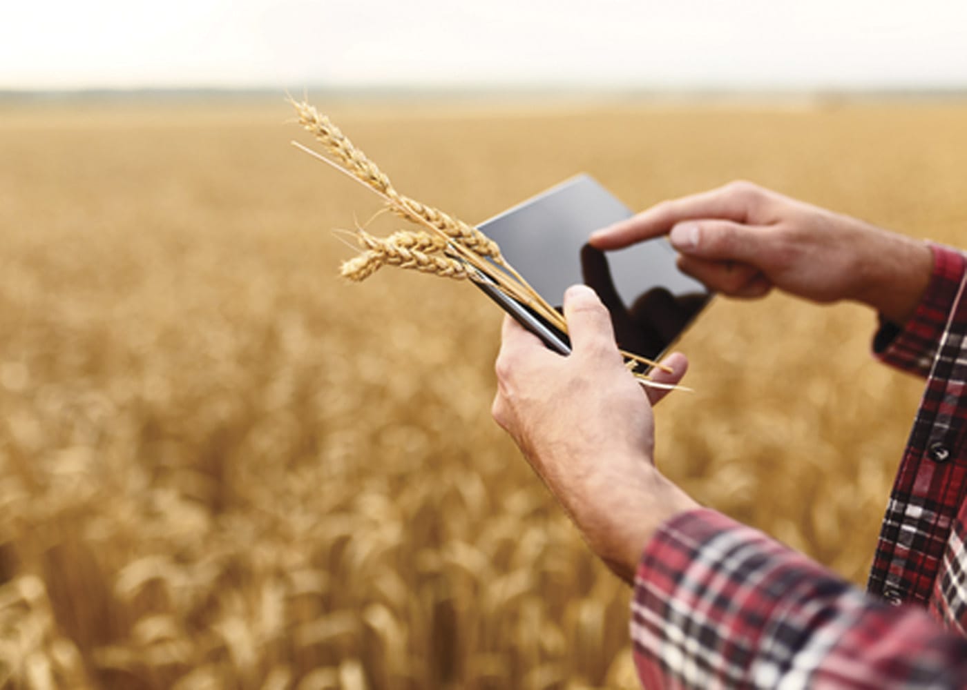 Growers urged to take care with spring spraying