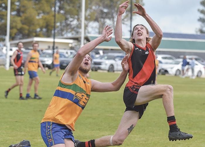 YPFL B grade: Bloods knock off resilient Eagles post image