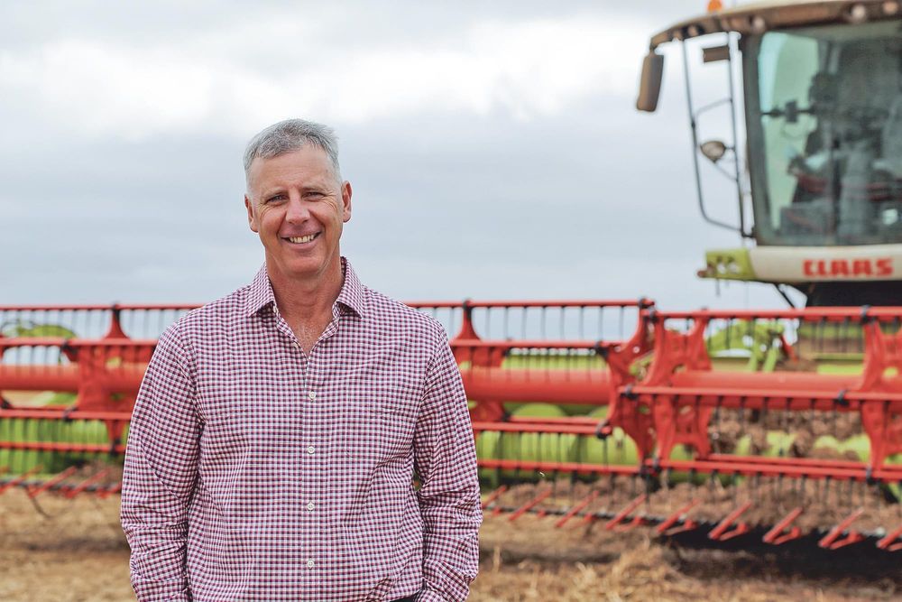 Yorketown grain market workshop post image