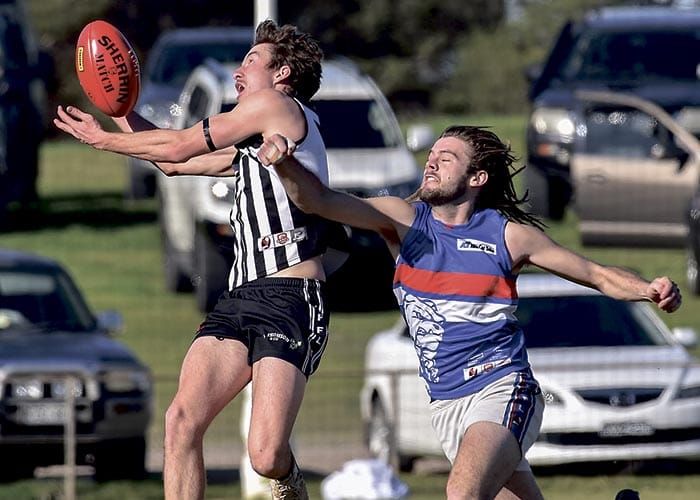 Magpie joy after hard-fought victory post image